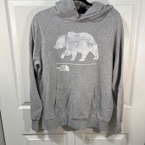 The North Face Gray Bear Graphic Men's Sweater
